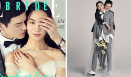 斑麻豆,探寻古老传说中的神秘果实